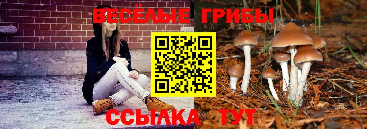 Псилоцибиновые грибы Magic Shrooms Вичуга