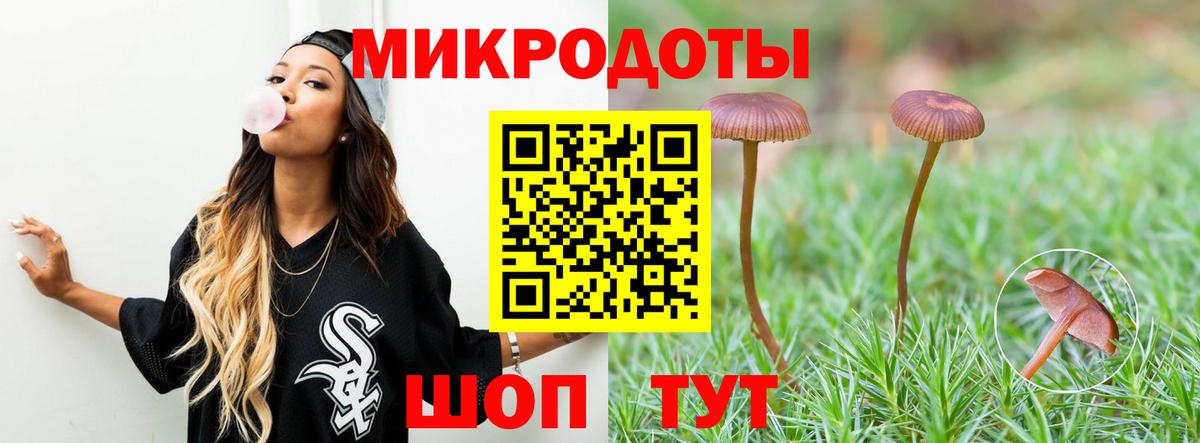 Псилоцибиновые грибы Psilocybe  Галлюциногенные грибы мухоморы  продажа наркотиков  Вичуга  Вход с VPN 